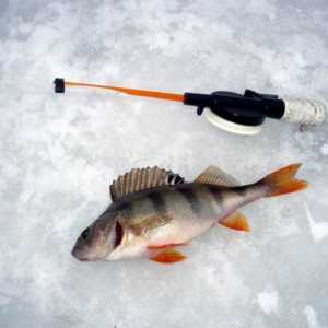 Як краще ловити рибу зимою