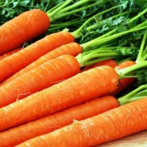 Як найкраще засвоюється морква