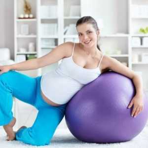 Як змінюється живіт при вагітності