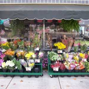 Як відкрити свій квітковий магазин