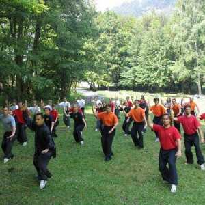 Як потрапити на міжнародний фестиваль традиційної китайської гімнастики "тайцзицюань"
