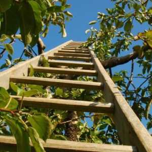 Як побудувати сходи дерев`яну