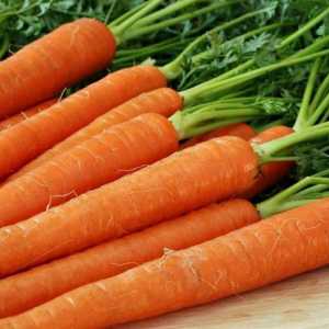 Як правильно сіяти моркву