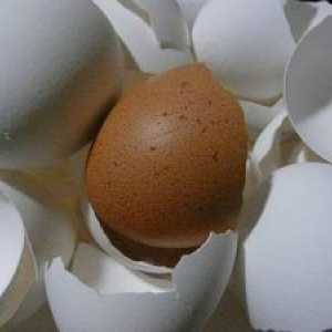 Як правильно вживати шкаралупу яєць