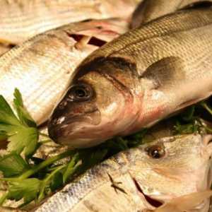 Як приготувати рибу з квашеною капустою