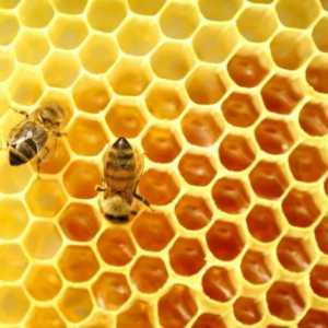Як застосовувати бджолиний віск