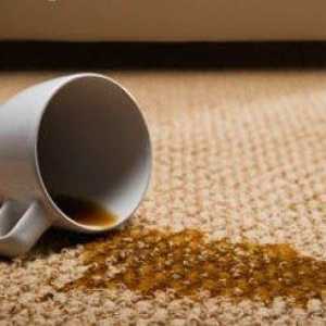 Як прибрати плями на килимі