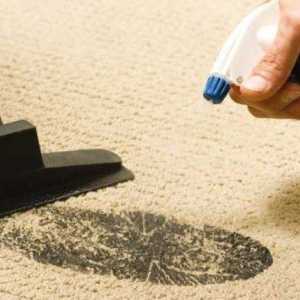 Як доглядати за килимом