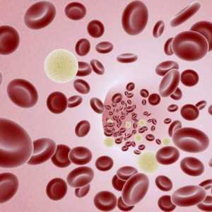 Як зменшити в`язкість крові