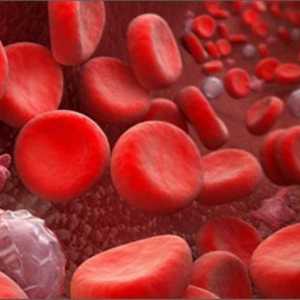 Як збільшити кількість лейкоцитів в крові