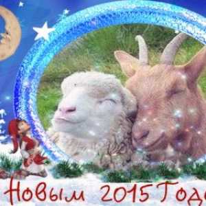 Як зустрічати новий 2015 рік кози