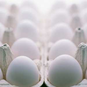 Як вибрати курячі яйця