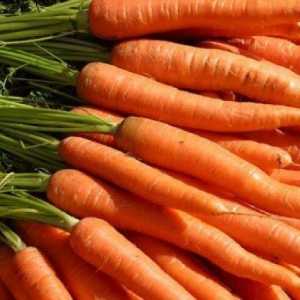 Як вибрати морква