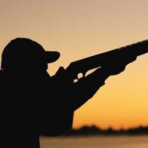 Як вибрати зброю для полювання