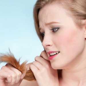 Як вибрати шампунь для довгих волосся, що січеться