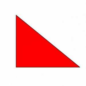 Як виглядають прямокутні трикутники