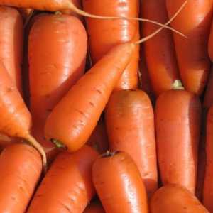 Як виростити велику моркву