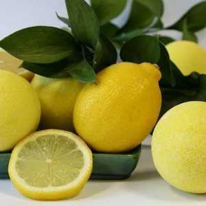 Як виростити лимон вдома на підвіконні