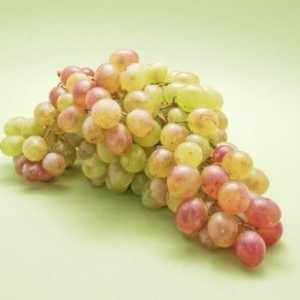 Як виростити виноград з кісточок