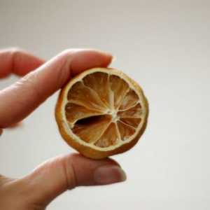 Як засушити лимон