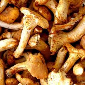 Як смажити заморожені гриби