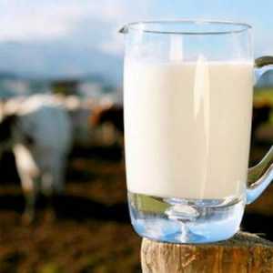 Які корисні елементи містяться в молоці