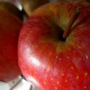 Який сорт яблук використовують у випічці