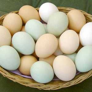 Яка калорійність яєць