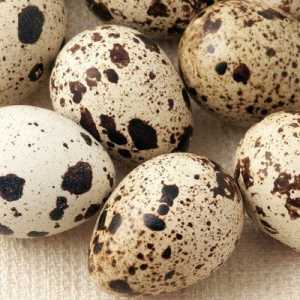 Яка норма споживання перепелиних яєць