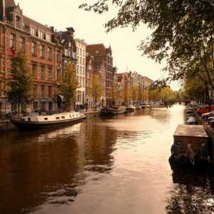 Куди сходити в амстердамі