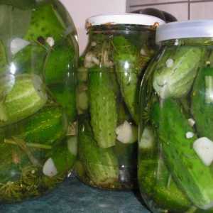 Малосольні огірки з любисток: рецепт