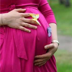 Чи може бути при вагітності прискорений пульс