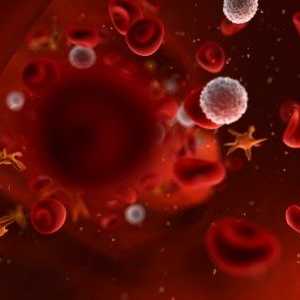 Про що свідчить низький рівень тромбоцитів у крові?