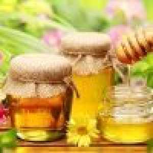 Бджолиний мед: користь і протипоказання