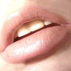 П`ять порад по догляду за губами