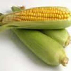 Корисні властивості кукурудзяної муки