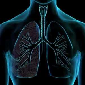 Профілактика і лікування емфіземи легенів