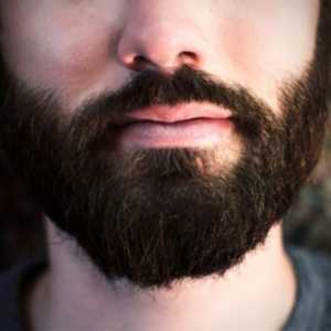 Психологія бороди: 4 факти про волосся на обличчі