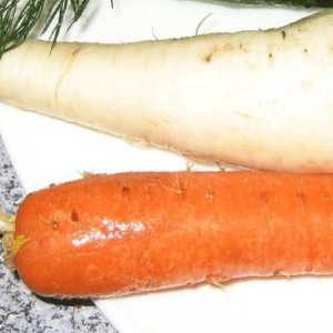 Салат з дайкона і моркви з нори