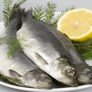 Скільки калорій в різних сортах риби