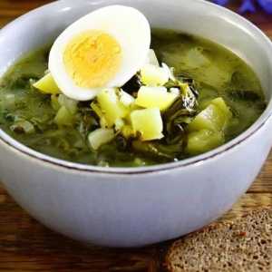 Супи зі свіжої зелені: зелений борщ