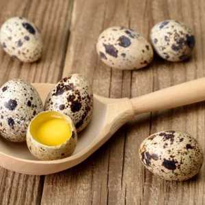 У чому користь перепелиних яєць