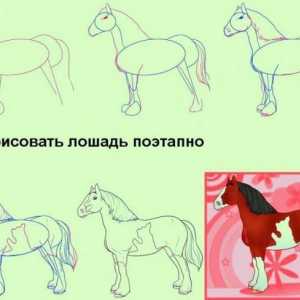 Все про коней: як малювати